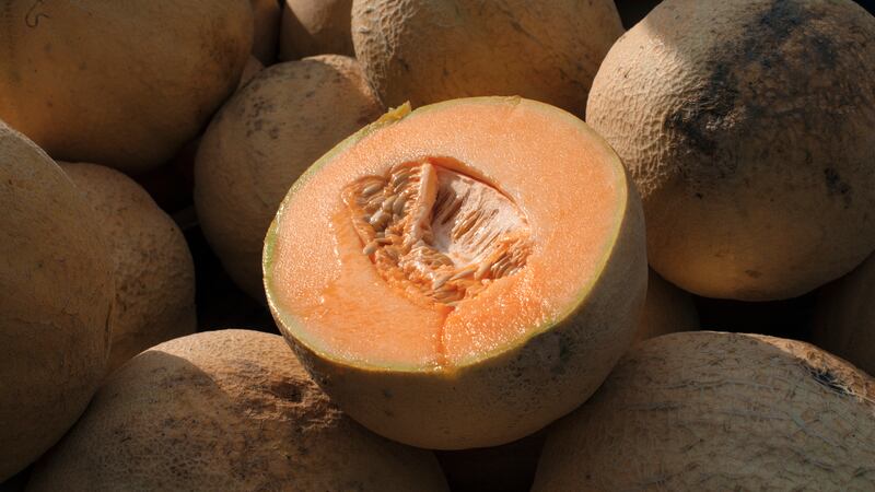 FILE - Cantaloupes are displayed for sale in Virginia on Saturday, July 28, 2017. On Friday,...