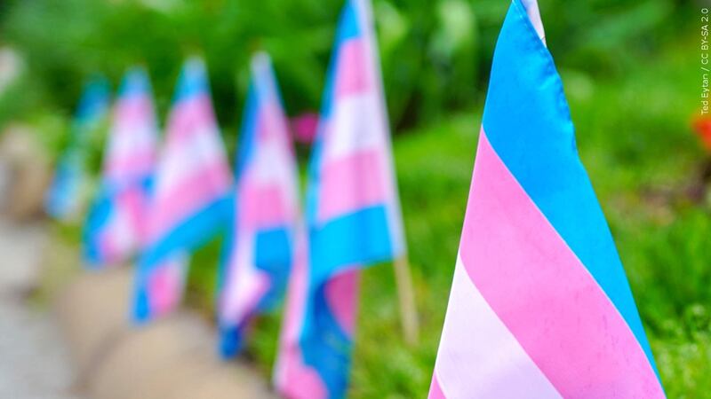 FILE PHOTO - Pictured are several Transgender Pride flags. A television reporter in Des...