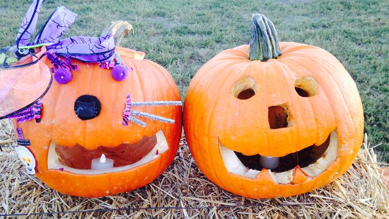 Due to inclement weather, the City of Lubbock Parks & Recreation Annual Pumpkin Trail will be...