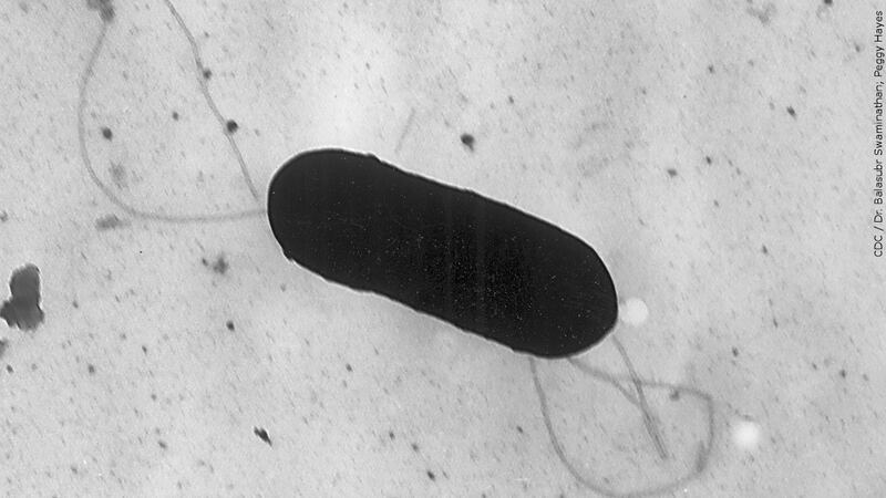 FILE: The CDC is investigating a listeria outbreak possibly connected to deli meats and...
