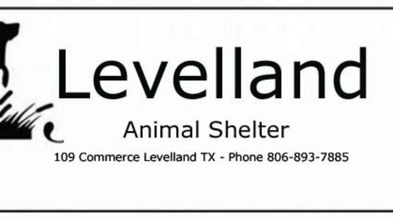 Levelland Animal Shelter offering free adoptions before euthanizing after it reaches capacity.