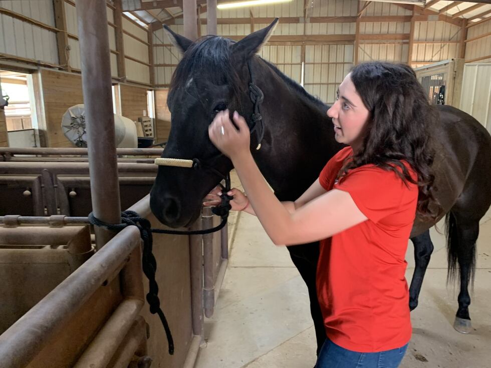 Texas Tech welcomes Masked Rider's new horse